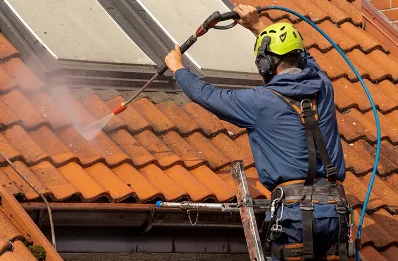 Démoussage et hydrofuge de toiture à Puntous